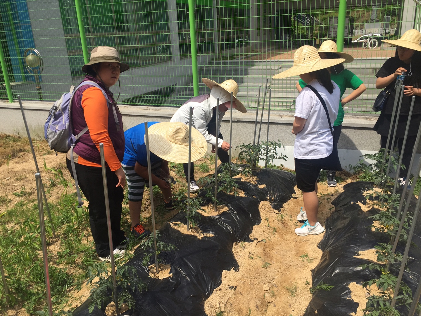 6.3 데미샘학교 주말 생태 프로그램